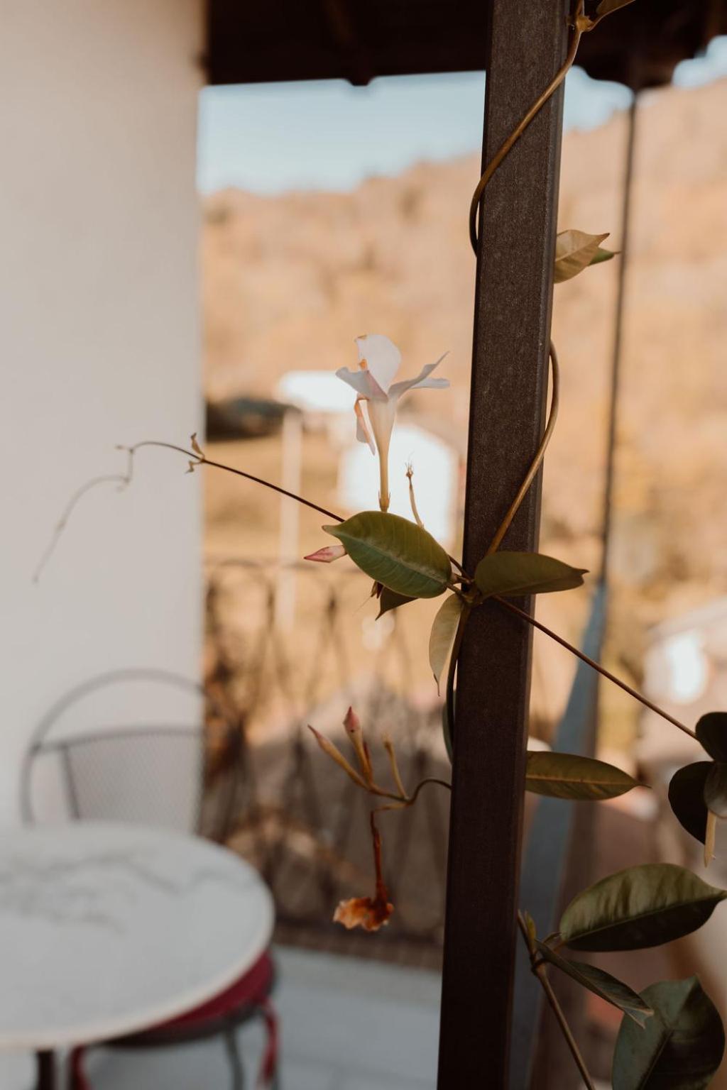 Cossogno Guesthouse Giulietta E Romeo מראה חיצוני תמונה
